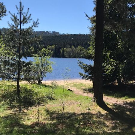 Rodinne Ubytovani Krauskopfovi Lipno nad Vltavou Luaran gambar